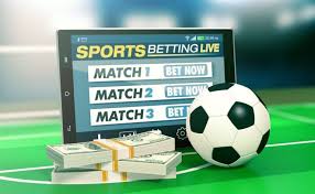 Betwinner  La Plateforme de Paris Sportifs Incontournable -151252920