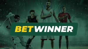 Comprehensive BetWinner Cameroon Review Betting Features, Bonuses & More